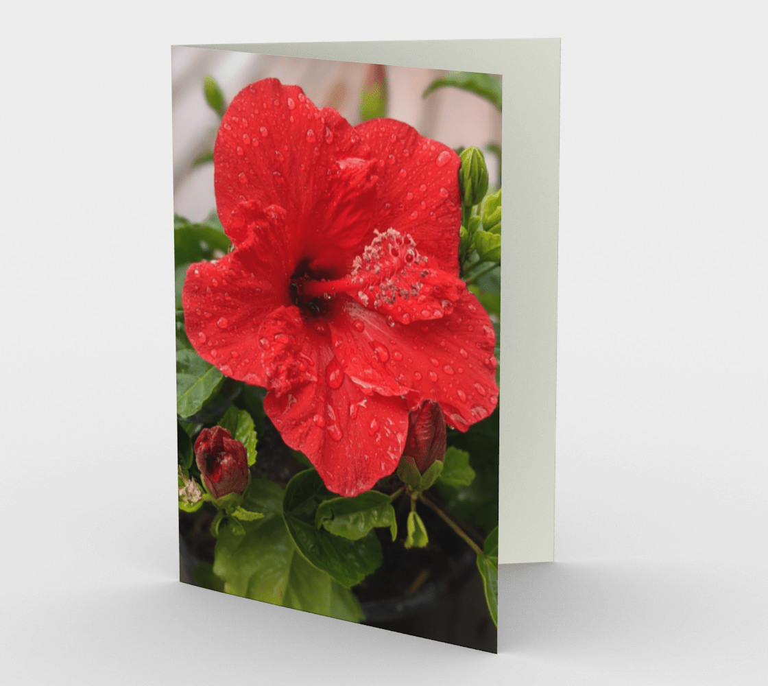 Set of 3 Blank Greeting Cards | 5 x 7 | Hibiscus Flower