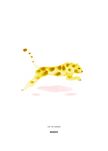 Leo the Leopard