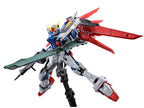 RG Destiny Gundam [Titanium Finish]
