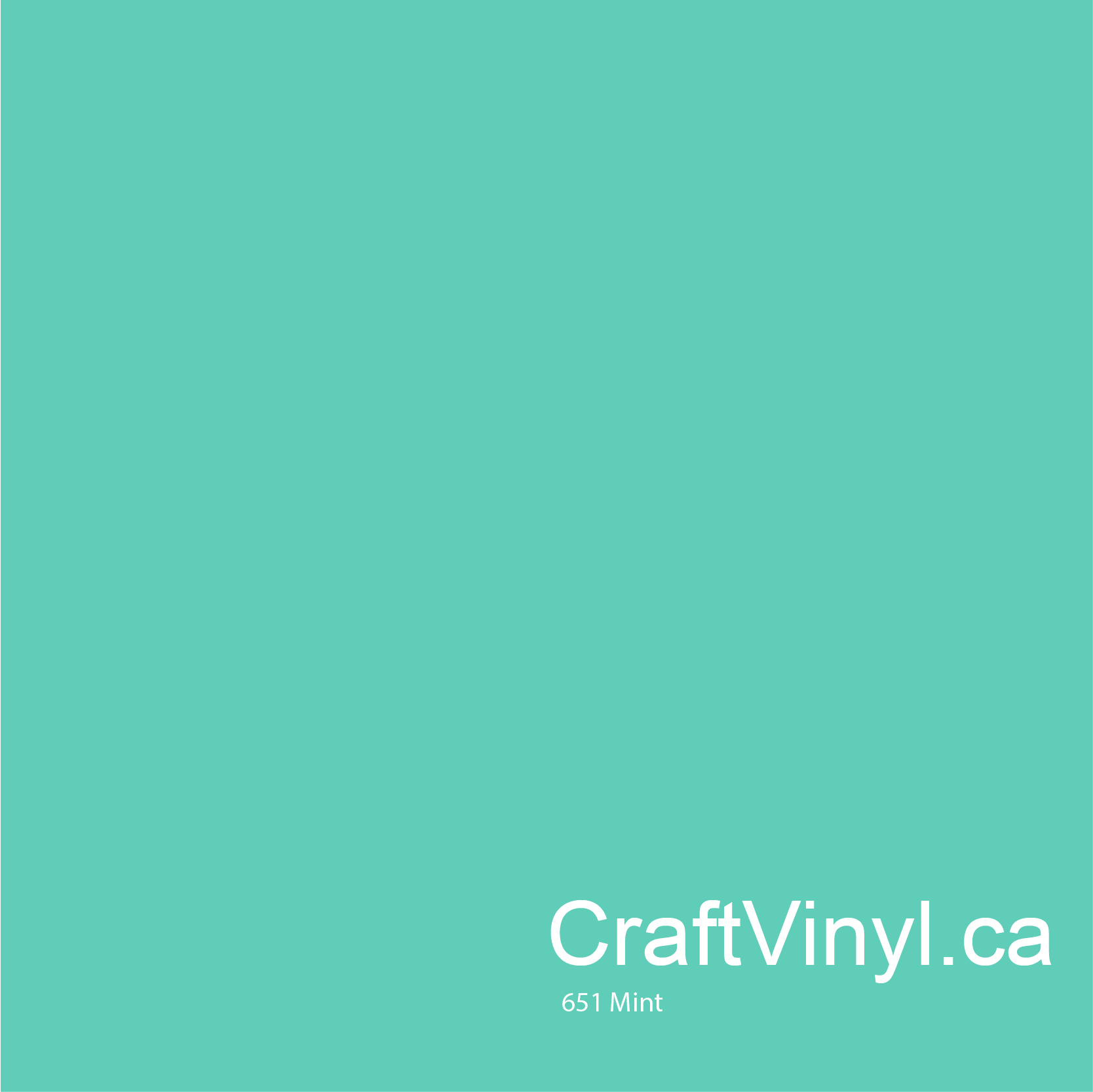 Oracal 651 Glossy Mint Vinyl #055