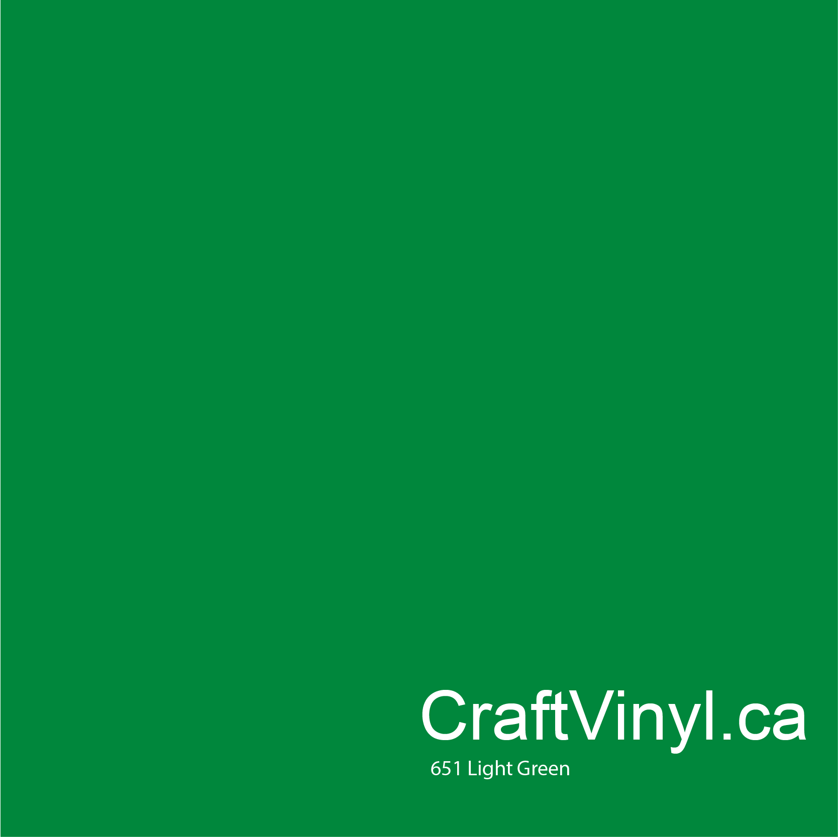 Oracal 651 Glossy Light Green Vinyl #062