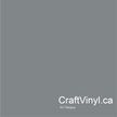 Oracal 651 Glossy Telegrey Vinyl #076