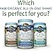 Garden of Life - Raw Organic Protein - Chocolate (664g)
