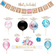 Gender Reveal Balloon Decoration Set – Pink & Blue Party Kit