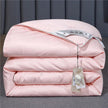 Summer Quilt Spring And Autumn Thickening Thermal Winter Duvet