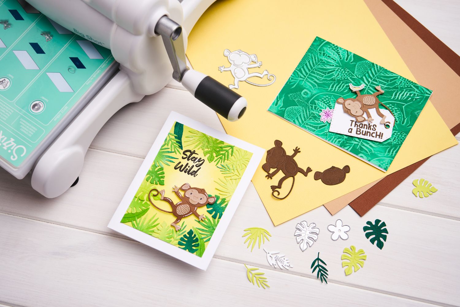 Sizzix 3-D Textured Impressions Embossing Folder - Jungle Textures by Catherine Pooler