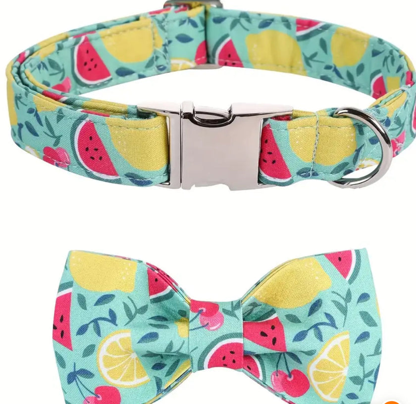 Watermelon Dog Bow Tie Collar | Printed Dog Collar