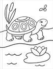 Peter Pauper Press - My First Coloring Book! Animals