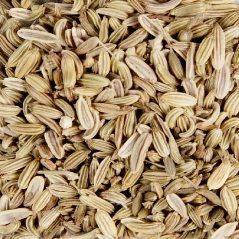 Splendor Garden - Organic fennel Seed (454g)