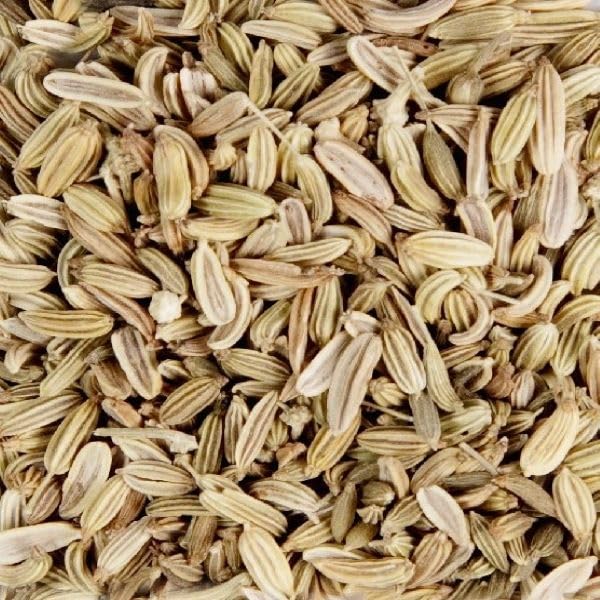 Splendor Garden - Organic fennel Seed (454g)