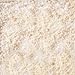 Splendor Garden - Organic Garlic Salt (454g)