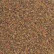 Splendor Garden - Organic Celery Seed Whole (454g)