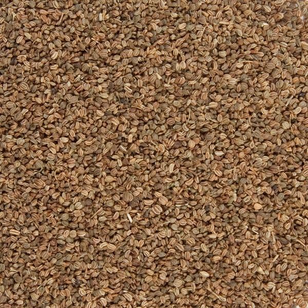 Splendor Garden - Organic Celery Seed Whole (454g)