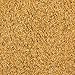 Splendor Garden - Organic Seasoning Salt (454g)