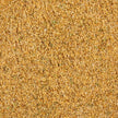 Splendor Garden - Organic Seasoning Salt (454g)