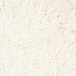 Splendor Garden - Organic Onion Powder (454g)