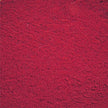 Splendor Garden - Organic Beet Root Powder (454g)
