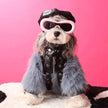 Jupiter Star Dog Jacket | Faux Leather Dog Coat with Fur Trim