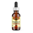 Dutchman's Gold - Propolis Tincture Alcohol-Free (50ml)