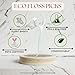 The Future Is Bamboo - Eco Floss Picks - FRESH MINT (50ct)