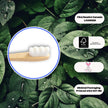The Future Is Bamboo - Cloud Brush (1un)