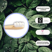 The Future Is Bamboo - Cloud Brush (1un)