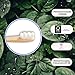 The Future Is Bamboo - Cloud Brush (1un)