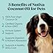Nutiva - Organic Coconut Oil (1.6L)