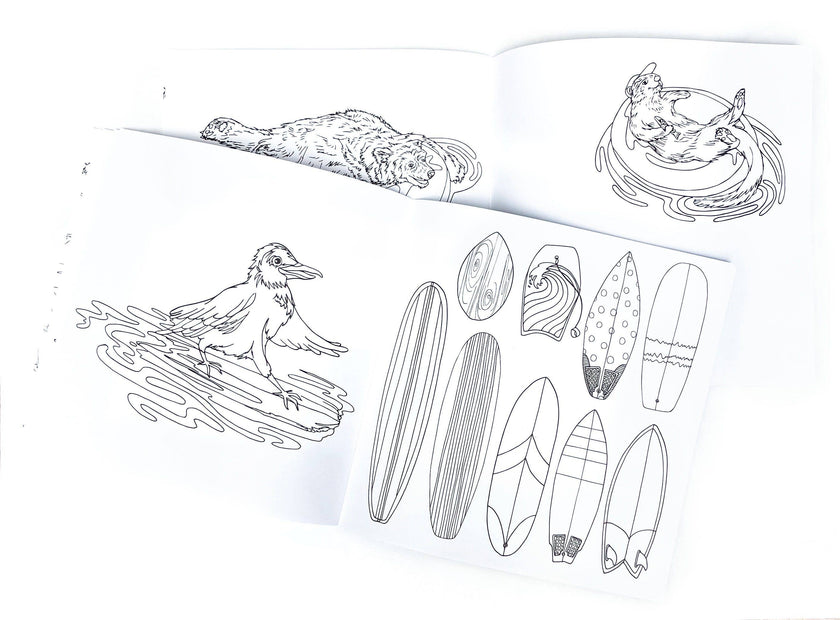 Wild Life Camp Colouring Book