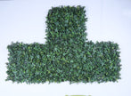Granada (box of 12)