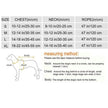 Brittany Dog Harness & Leash Set | Rhinestone Dog Walking Set