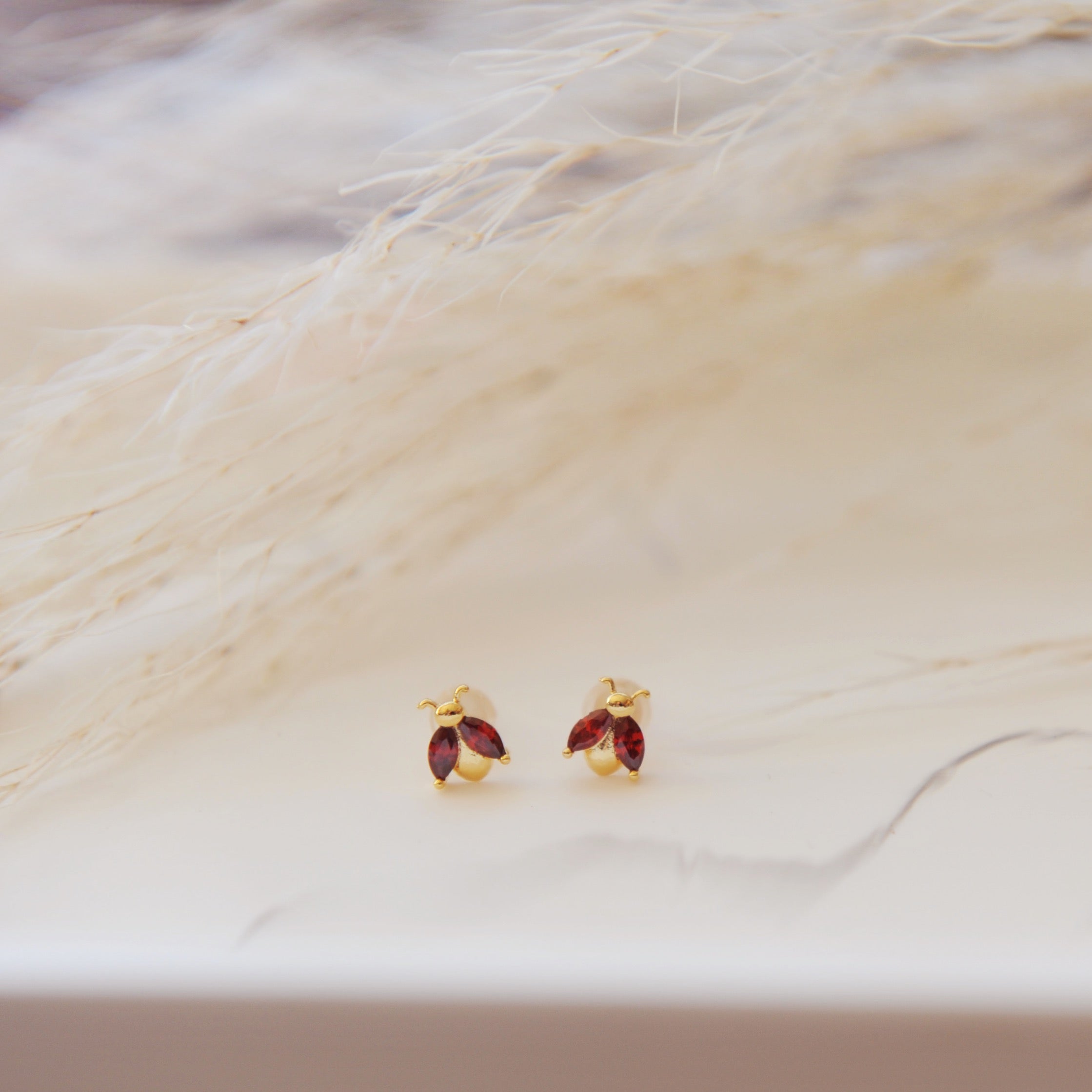 Ladybug