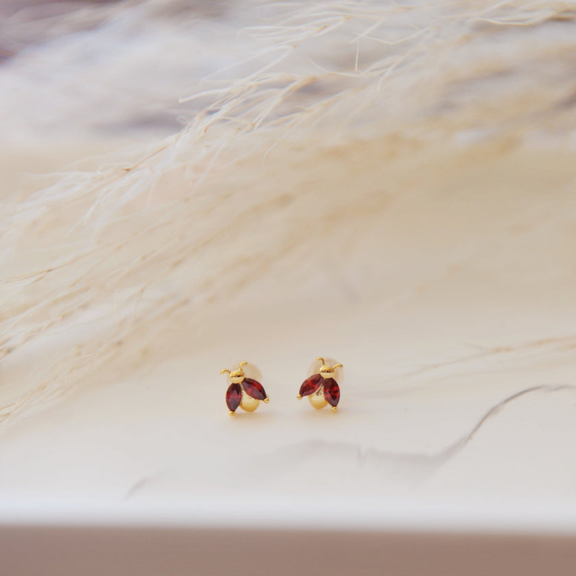 Ladybug