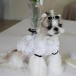 Chewnel Dress for Dogs – Elegant Dog Dress Outfit