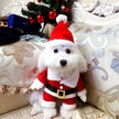 Santa Claws Is Coming Dog Outfit | Christmas Holiday Dog Outfit