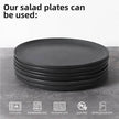 6PCS Flat Ceramic Steak Plate Salad Plates