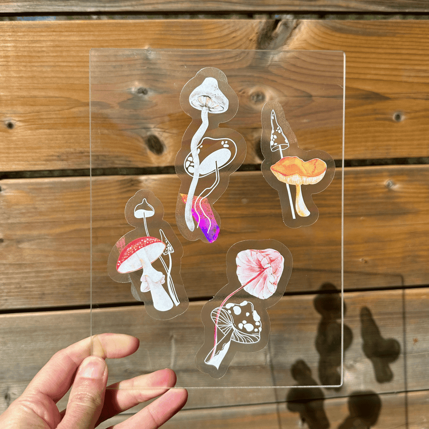 Sticker Set: Watercolour Toadstools