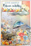 3Quarter Designs Tomorrow's Rainbow 6x4 Card Pack