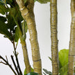 Dante Artificial Fiddle Leaf Potted Plant 10'