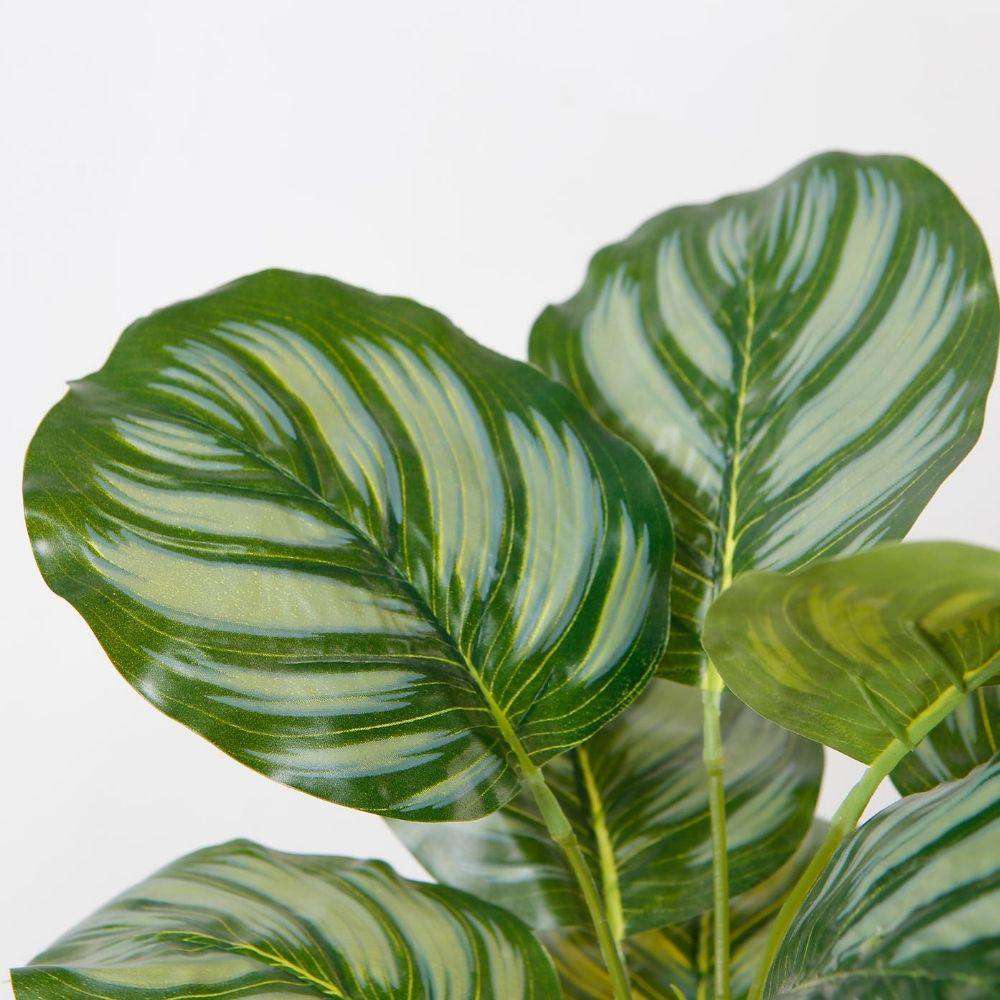 Calathea Faux Potted Plant
