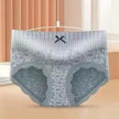 Women's Plus Size Nylon Lace Mid-Waist Slimming Briefs Shaping Underwear