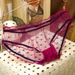 Women's Mesh Transparent Seamless Low-Waist Briefs Breathable Hollow Lace