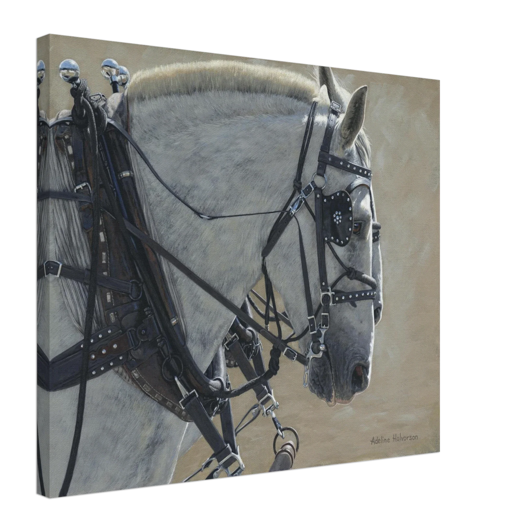 STEADY Canvas Print