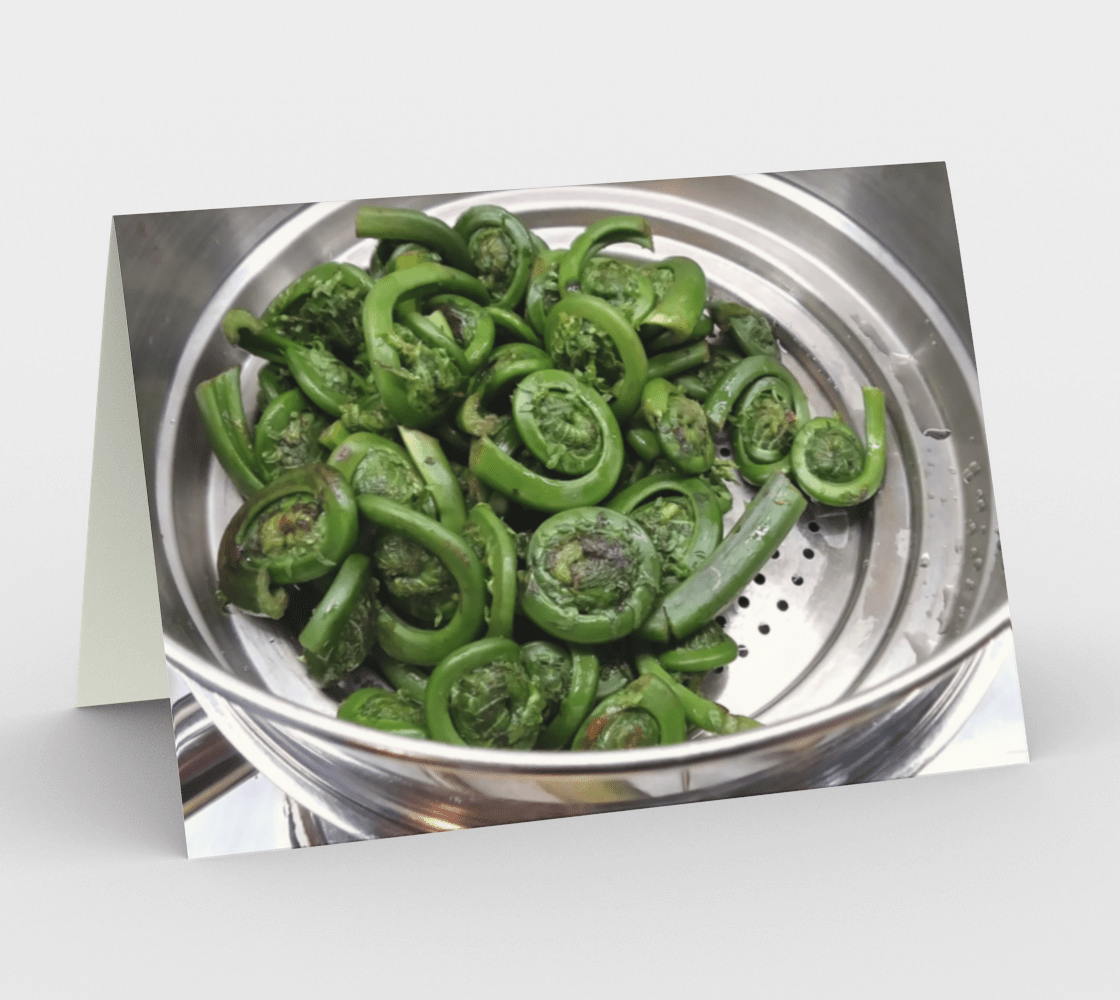 Set of 3 Blank Greeting Cards | 5 x 7 | Fiddleheads
