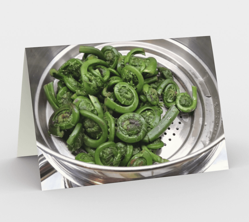 Set of 3 Blank Greeting Cards | 5 x 7 | Fiddleheads