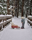Snowsuit Grand - Benji | Mirage