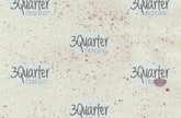3Quarter Designs - Enchanted Amethyst - Card Kit