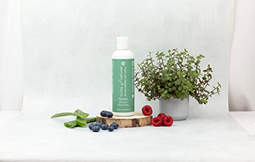 Tints Of Nature - Hydrate Shampoo (250ml)