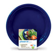 Preserve by Recycline - Plateware - Lg (10.5 (8un)