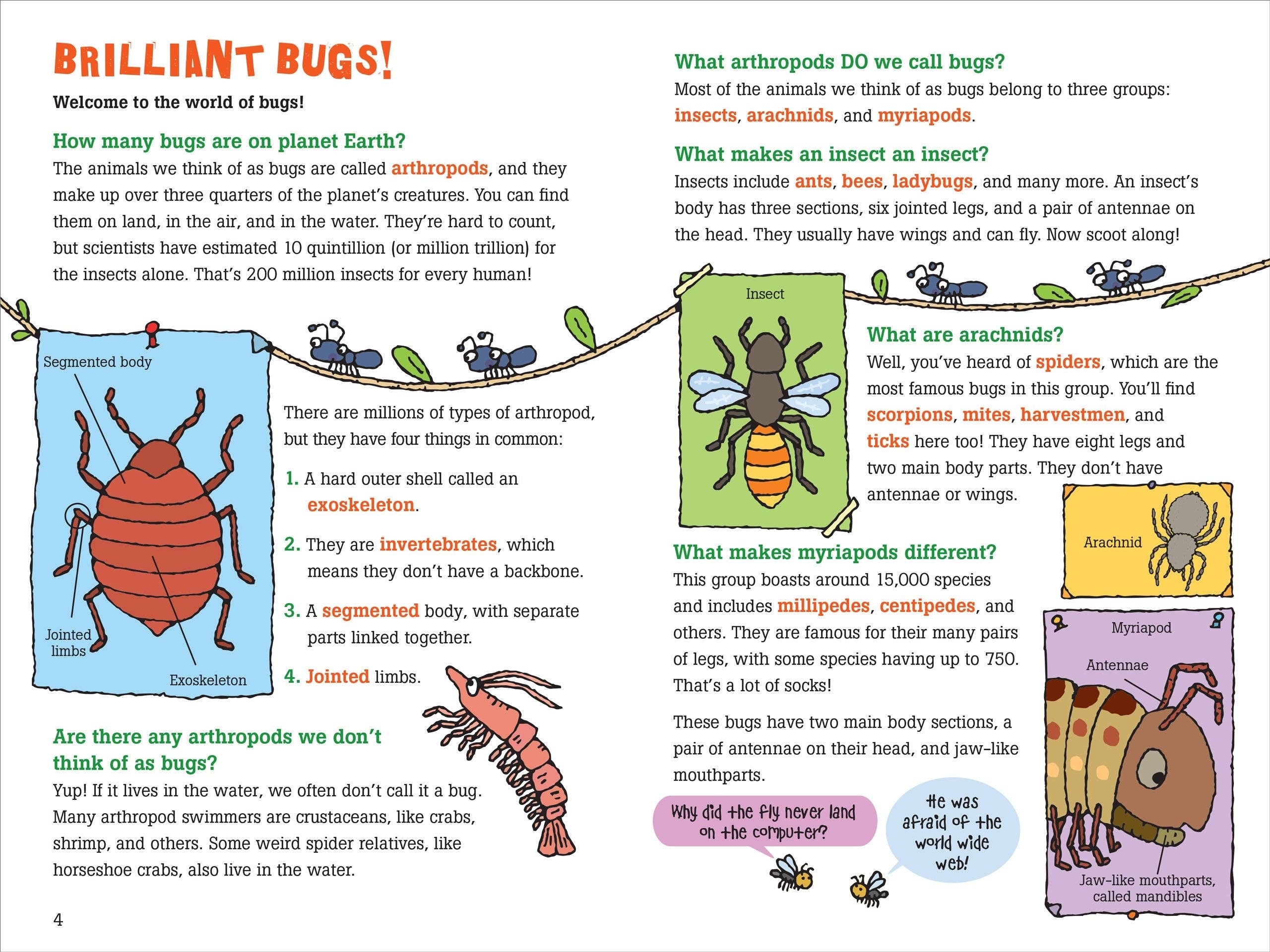 Peter Pauper Press - 100 Questions about Bugs